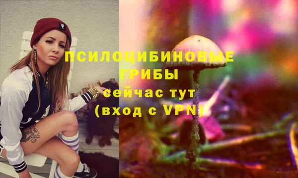 СК Абинск