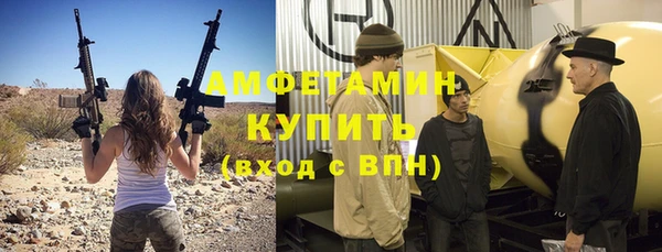 крисы Алзамай