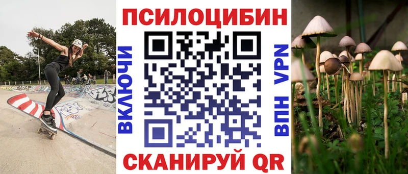 Псилоцибиновые грибы Magic Shrooms купить наркотики сайты Жердевка