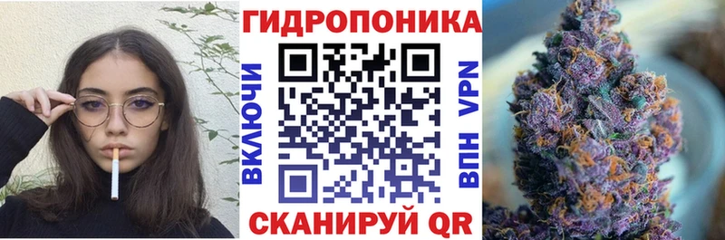 Бошки марихуана план  наркота  Жердевка 